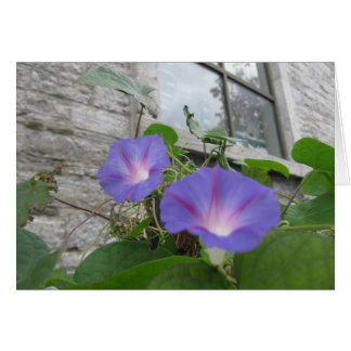 Cartão Rua, glória matinal de Paul com janela