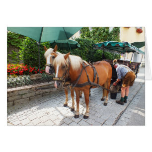 Cartão Rua Wolfgang na Áustria