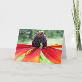 Cartão Rubeckia, apenas dizendo