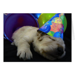 Cartão Rubi do balde