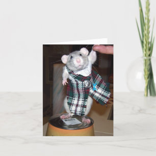 Cartão Ruby in her Kilt Card