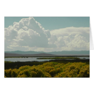 Cartão Ruby Marshes, Pincel de Coelho