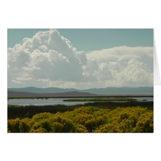 Cartão Ruby Marshes, Pincel de Coelho (Frente horizontal)