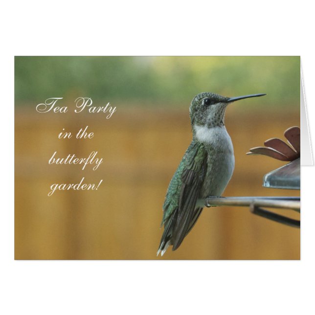 Cartão Ruby Throated Hummingbird (Frente Horizontal)