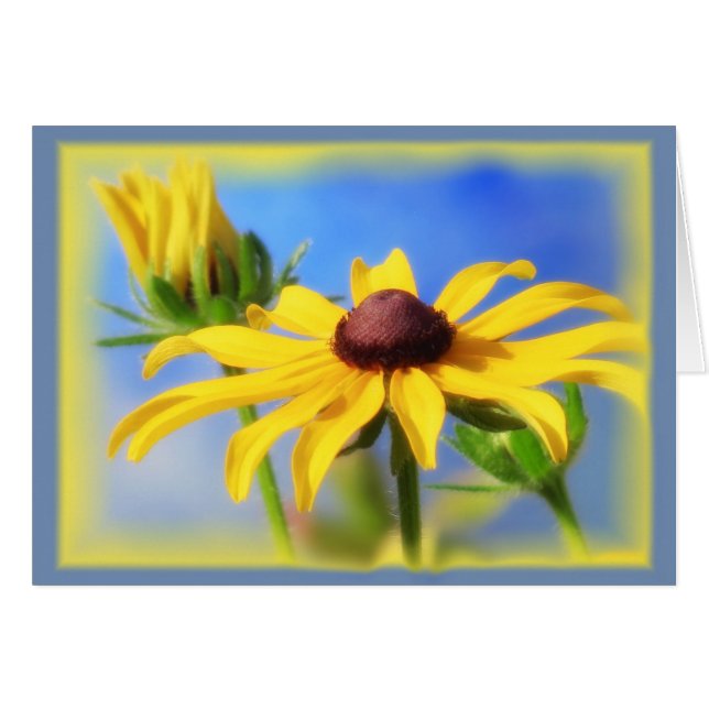 Cartão Rudbeckia Blues - Vignette (Frente Horizontal)