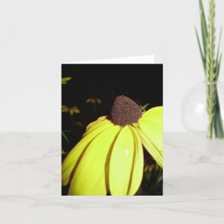 Cartão Rudebekia notecard