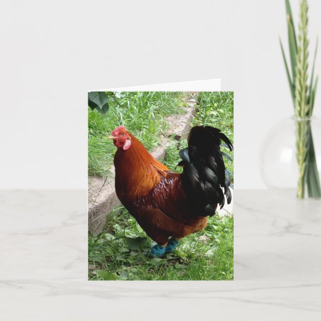 Cartão Rudy (Frente)