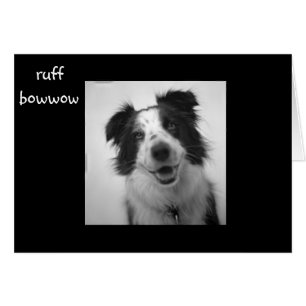 Cartão RUFF BOWOW "aniversário de 40 anos"
