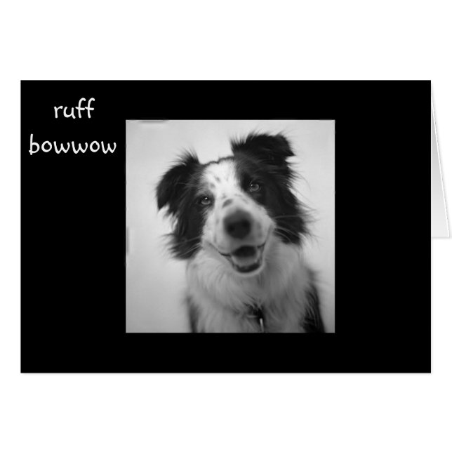 Cartão RUFF BOWOW "aniversário de 40 anos" (Frente Horizontal)