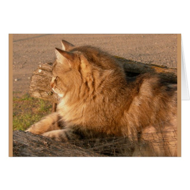 Cartão Rum Tum Tiggle (Frente Horizontal)