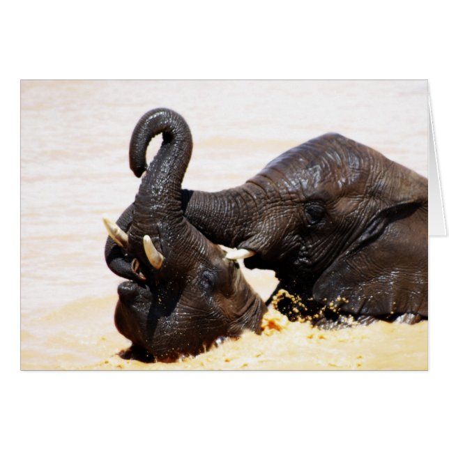 Cartão Rumi Soul Joy (Frente Horizontal)