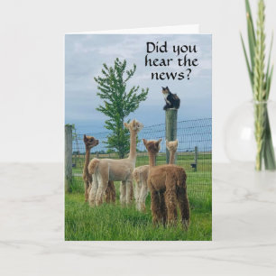 CARTÃO RUMOR É QUE **65º ANIVERSÁRIO** NÃO TÃO RUIM