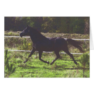 Cartão Running do cavalo