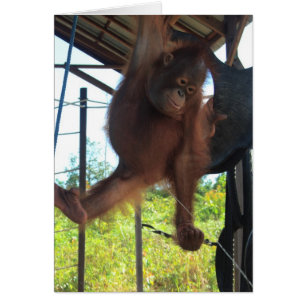 Cartão Ruptura impertinente do Potty do primata