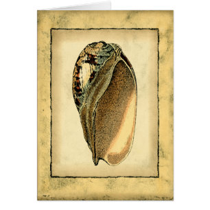 Cartão Rustic Vintage Seashell