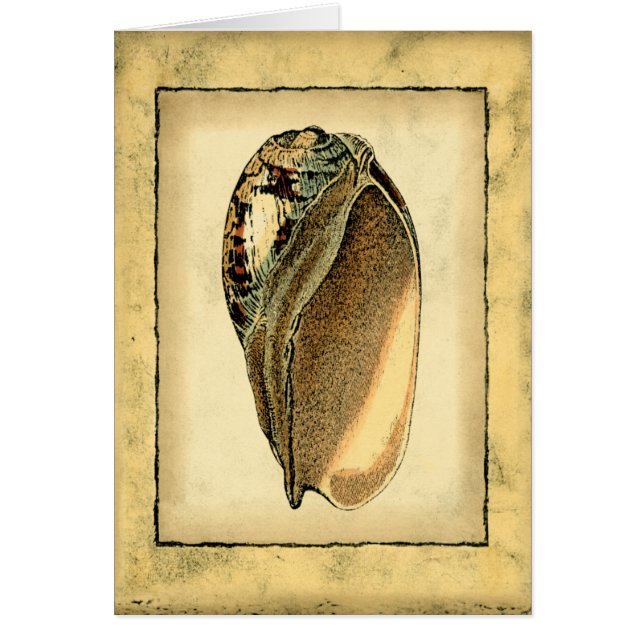 Cartão Rustic Vintage Seashell (Frente)