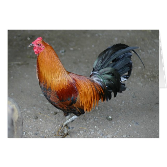 Cartão Rusty (Frente Horizontal)