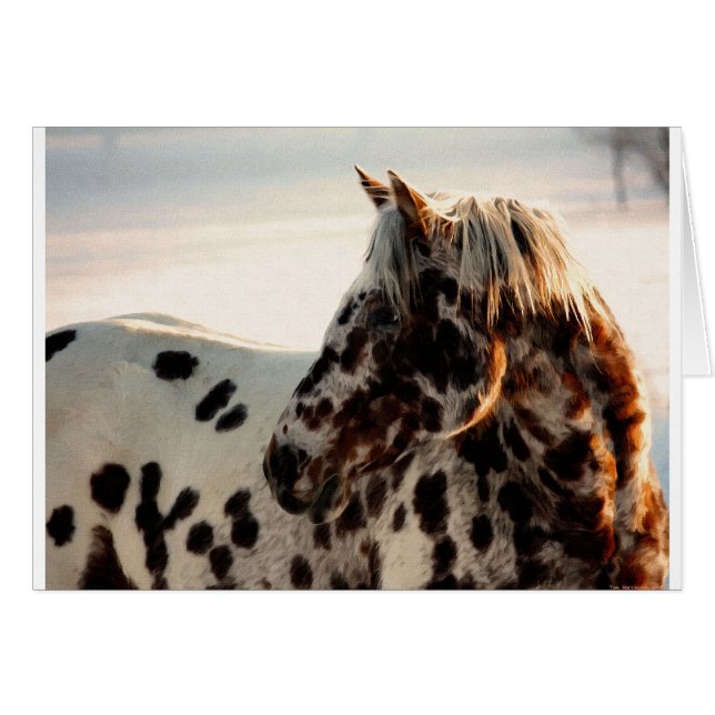 Cartão Rusty the Appaloosa (Frente Horizontal)