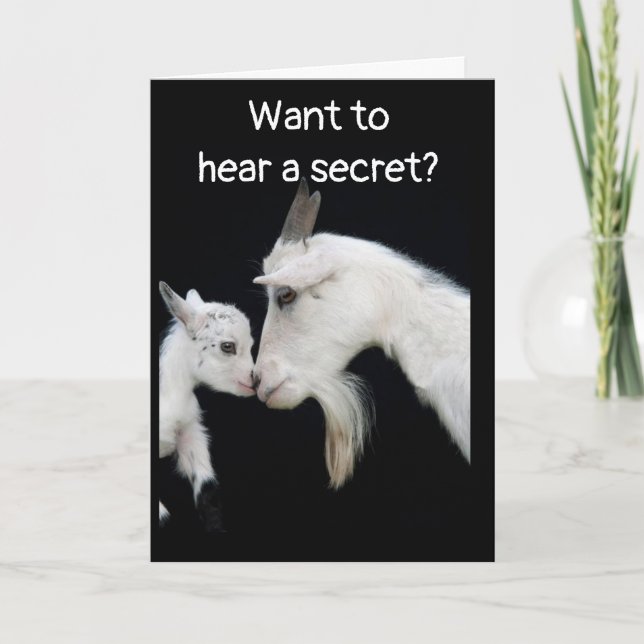 CARTÃO SABE COMO VELHO VOCÊ É "MAS" NÃO DIZ (Frente)