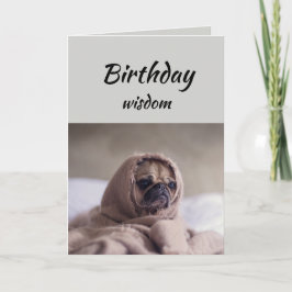 Cartão Sabedoria de aniversário divertida com o Cachorro 