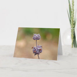 Cartão Sábio de Cleveland