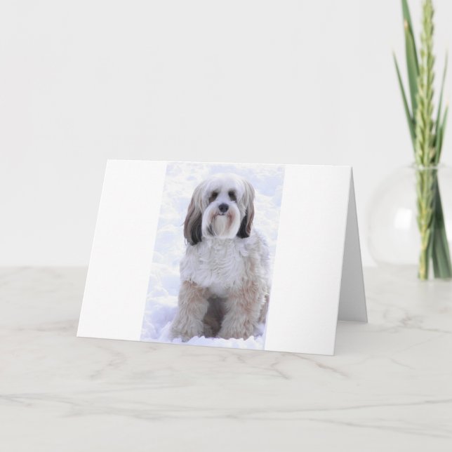 Cartão Sable e branco de Terrier tibetano (Frente)