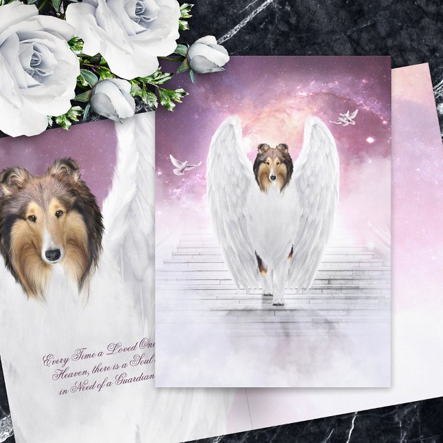 Cartão Sable Rough Collie Angel - Pet Losse Condolence (Criador carregado)