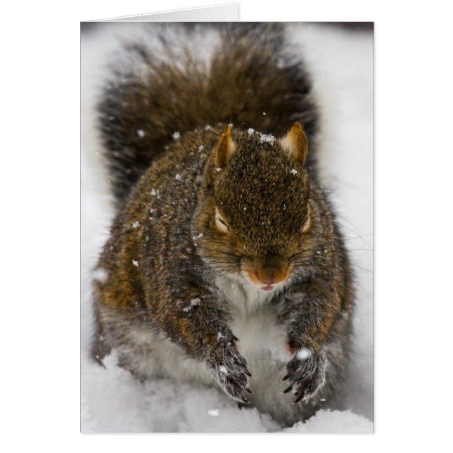 Cartão Sabor Incorreto (Frente)