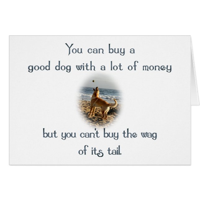 Cartão Saco da Cauda (Frente Horizontal)