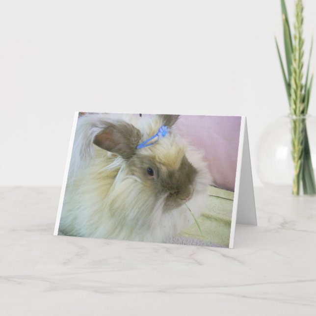 Cartão Sacola das fibras da cidade da nuvem (Frente)