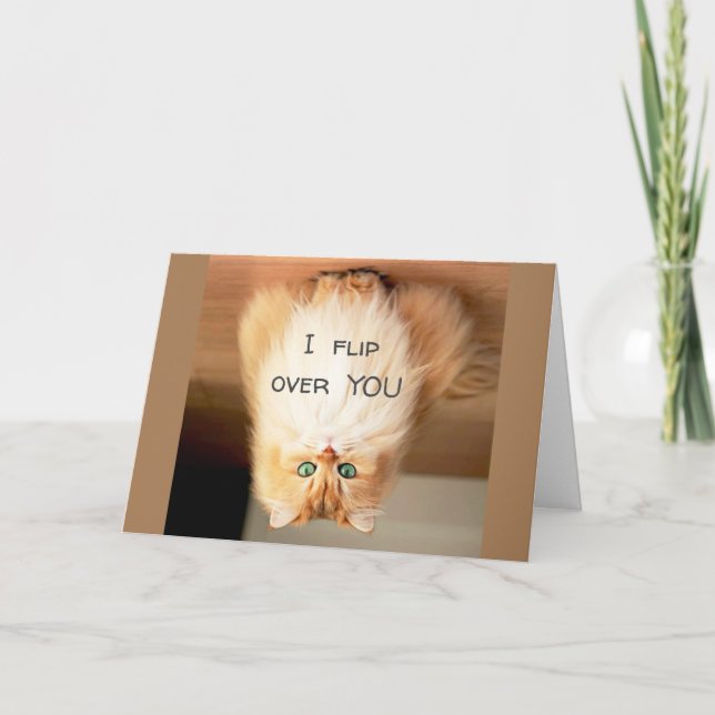 CARTÃO *SACUDIR DE VOCÊ* NO ANIVERSÁRIO MOSTRO O QUANTO E (Frente)