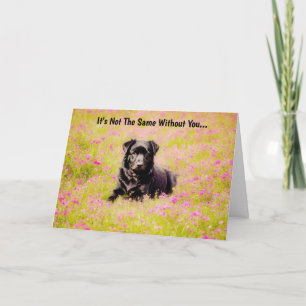 Cartão Sad Dog Sweet Miss You Card
