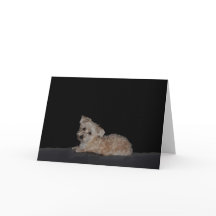 Sad Puppy Consiga Bem