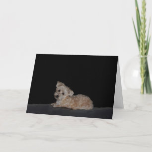 Cartão Sad Puppy Consiga Bem