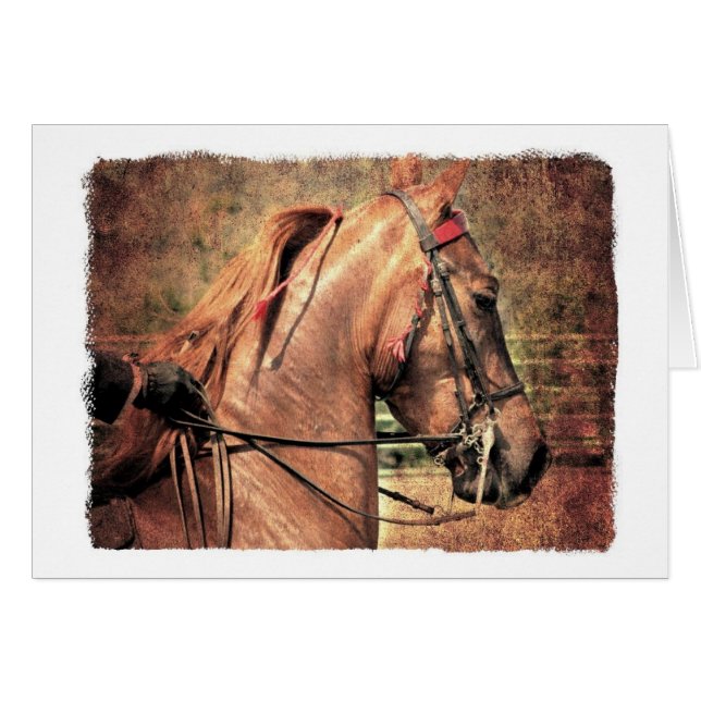 Cartão Saddlecriado Americano (Frente Horizontal)