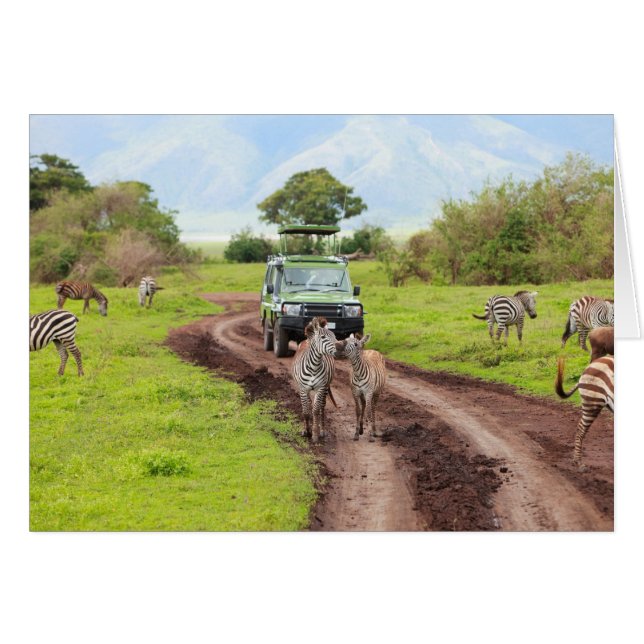 Cartão Safari (Frente Horizontal)