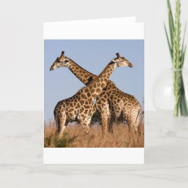 Cartão Safari África Mod Chique Elegante Destino Girafa