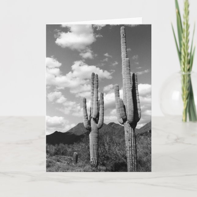 Cartão Saguaro Cactos Sonoran Desert Foto Saudação Cartõe (Frente)