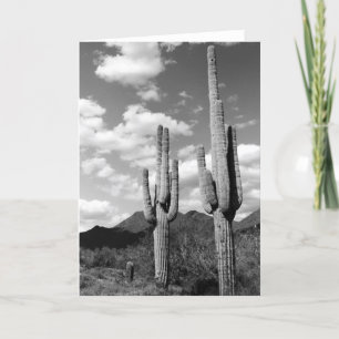 Cartão Saguaro Cactos Sonoran Desert Foto Saudação Cartõe