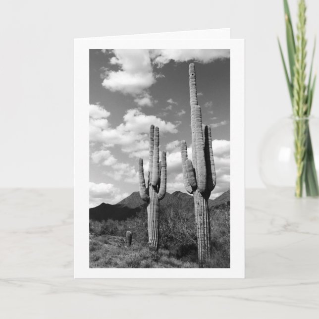 Cartão Saguaro Cactos Sonoran Desert Foto Saudação Cartõe (Frente)