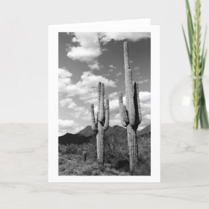 Cartão Saguaro Cactos Sonoran Desert Foto Saudação Cartõe