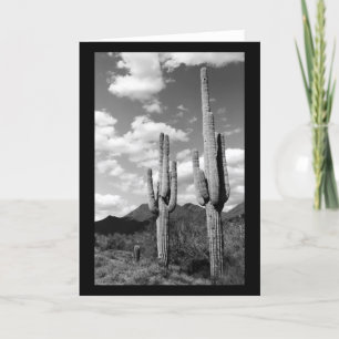Cartão Saguaro Cactus Sonoran Desert Photo Saudação Car