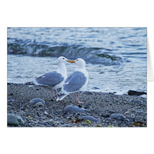 Cartão Sagulls Beijando na Foto de Praia