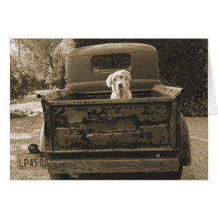 Cartão Saia de Dodge - Fotografia de Cães