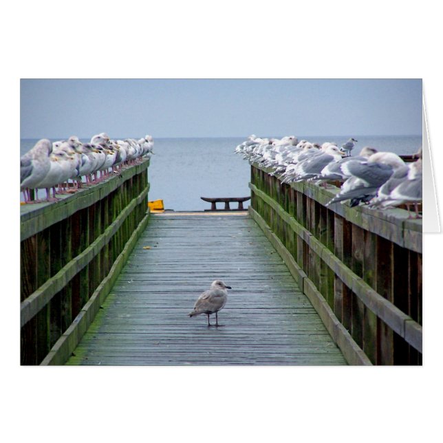 Cartão Saia na multidão (Frente Horizontal)