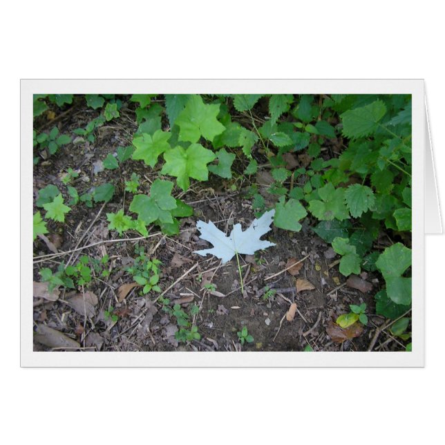 Cartão Saída (Frente Horizontal)