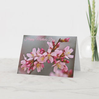 Cartão Sakura Contra um Céu Cinza - Flores de Cerejeira J