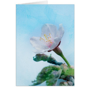 Cartão Sakura - Flor de Cereja Japonês
