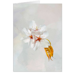 Cartão Sakura - flor de cereja japonesa