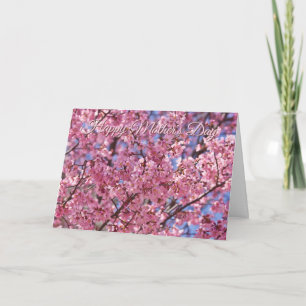 Cartão Sakura Flor de Cerejeira Rosa Dia das Mães